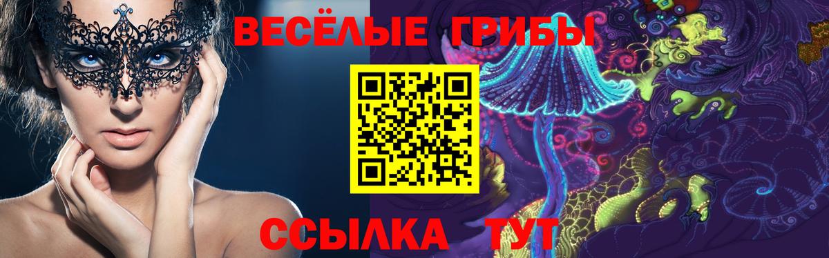 Псилоцибиновые грибы Cubensis Рузаевка